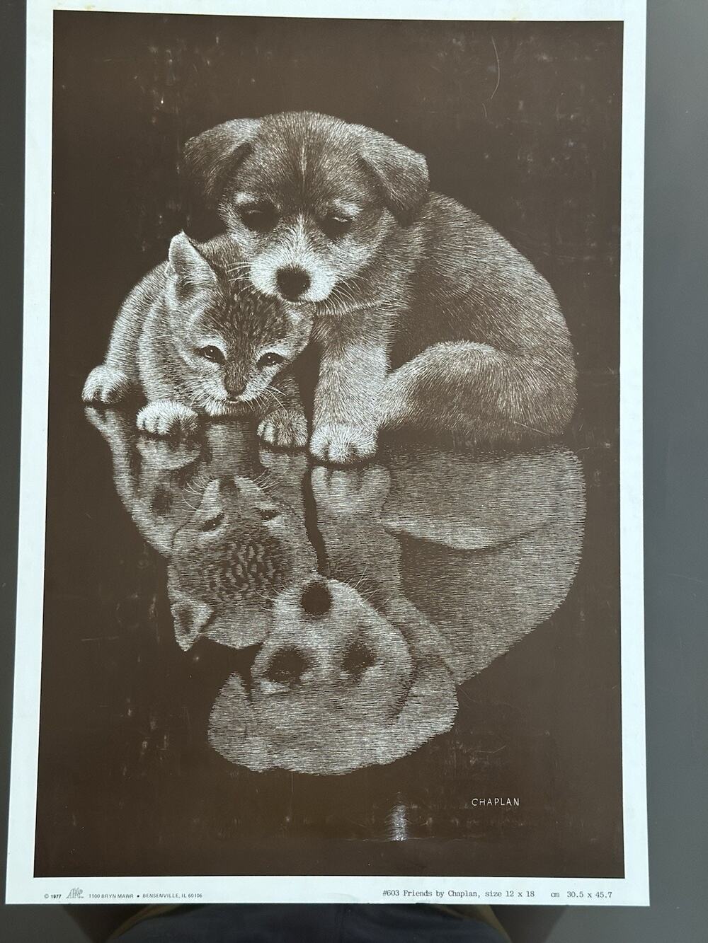 Vintage 1977 Chaplan Friends Puppy Kitten Able Art #603 12x18 Print Poster